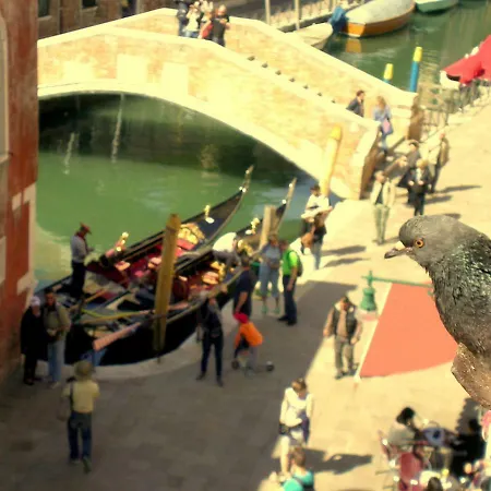 Daire A Venetian *